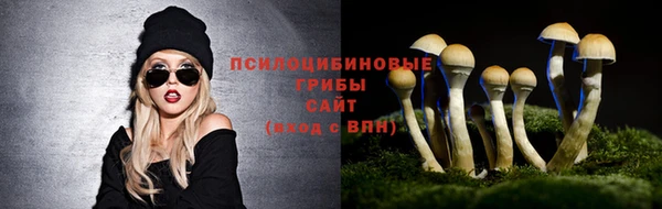 a pvp Абинск