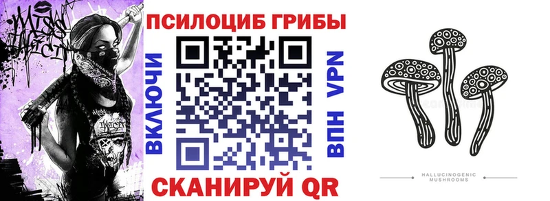 Галлюциногенные грибы ЛСД  Ак-Довурак 